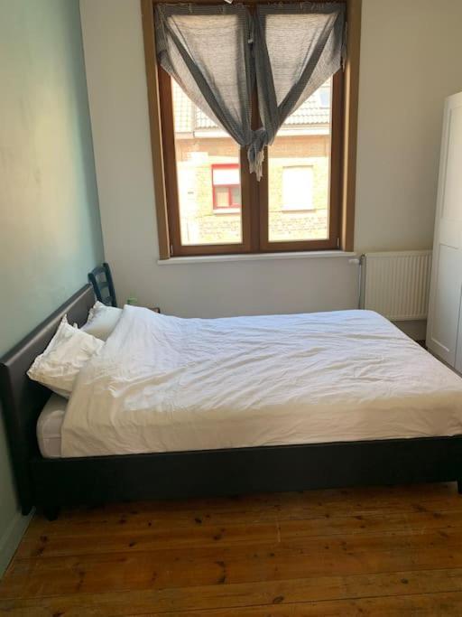 Burgerwoning Bij Brugge Villa Kültér fotó